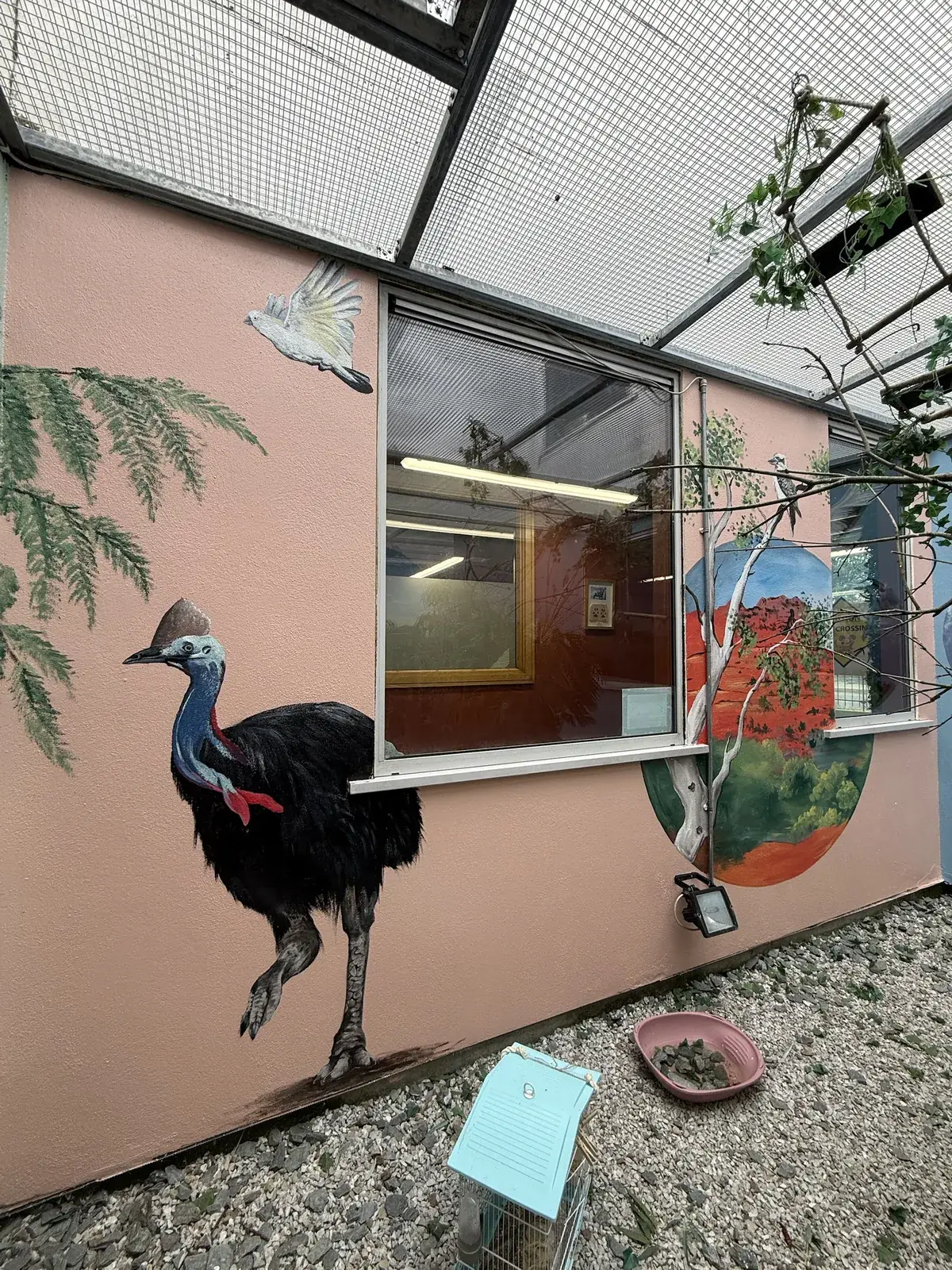 A life-size cassowary painted on a pink courtyard wall beside tree ferns